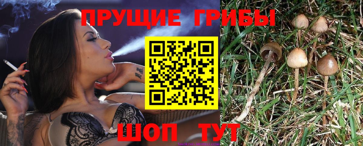 Псилоцибиновые грибы Magic Shrooms  Вход с VPN  Луга 