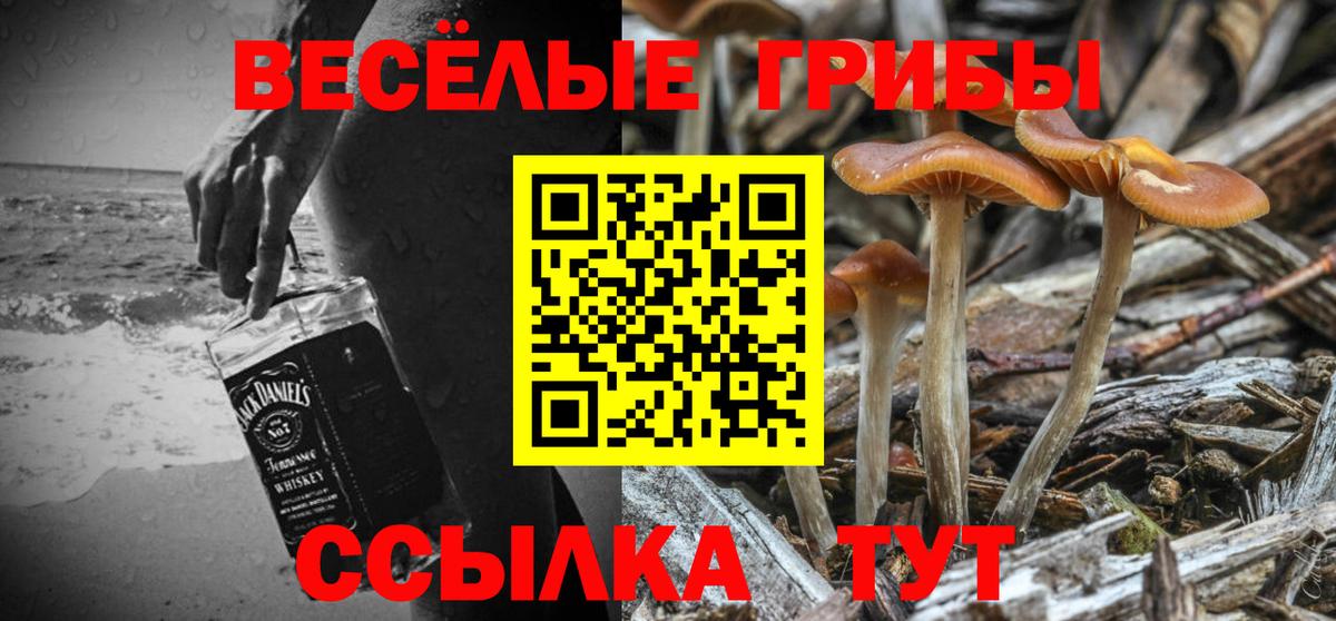 Галлюциногенные грибы GOLDEN TEACHER Луга