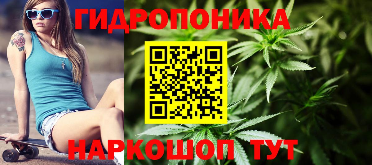 Бошки марихуана White Widow Луга